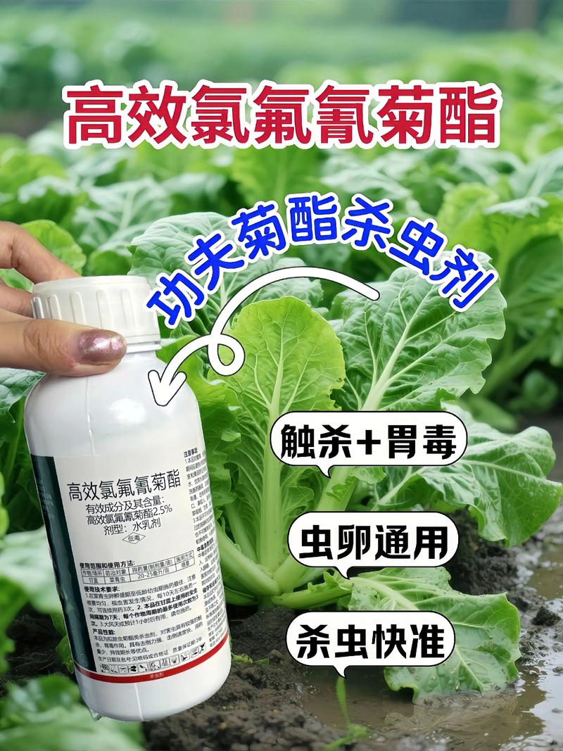 巴彦淖尔代生中心:农药对供卵代生妈妈的危害